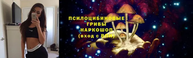 omg онион  Бодайбо  Галлюциногенные грибы MAGIC MUSHROOMS  что такое наркотик 